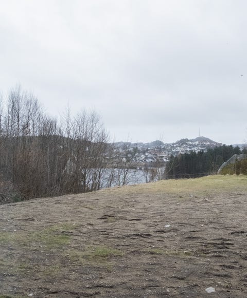 Bilde 2 av annonsen