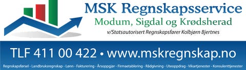 Msk Regnskapsservice Bjertnes logo