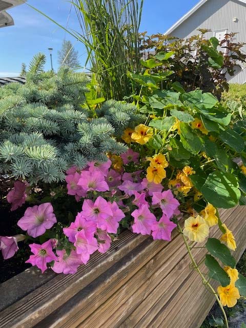 Anleggsgartnermester Svein Erik Johansen AS logo