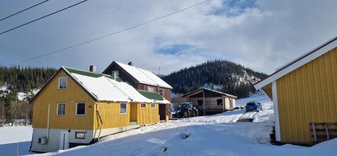 Bilde 1 av annonsen