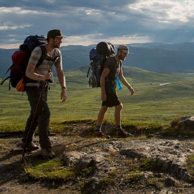 Nidaros Domkirkes Restaureringsarbeider (NDR) logo