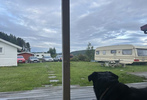 Bilde 2 av annonsen