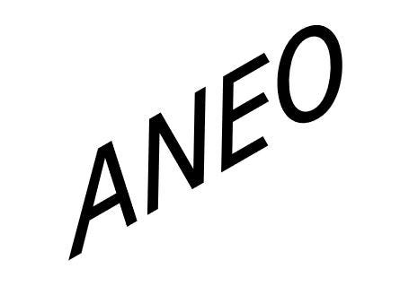 Aneo AS logo