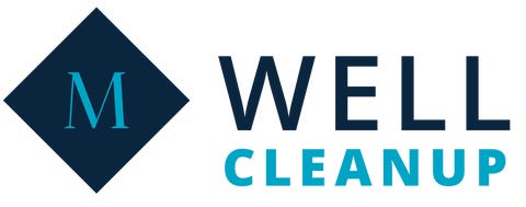 Well Cleanup AS logo