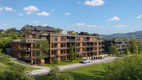 Bilde 1 av annonsen