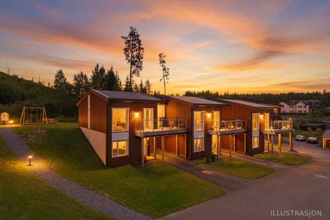 Bilde 1 av annonsen
