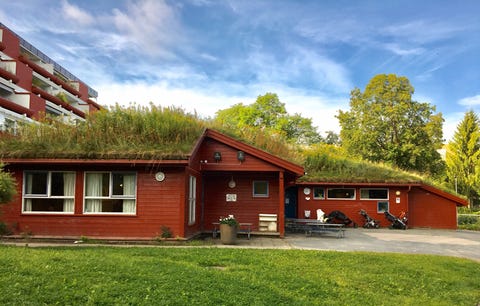 Skøyen Terrasse Barnehage logo