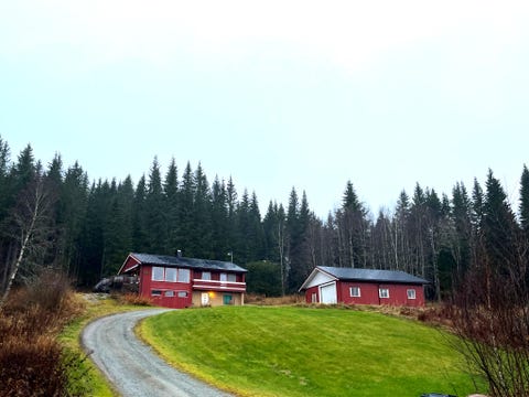 Bilde 1 av annonsen