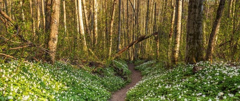 Akershus fylkeskommune, Sørumsand tannklinikk logo