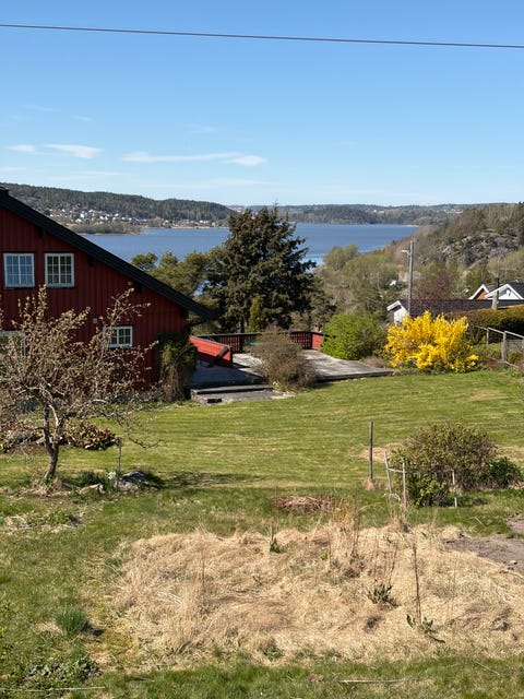 Bilde 1 av annonsen
