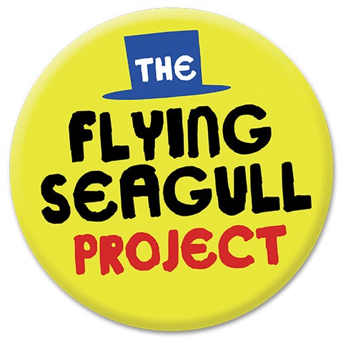 Flying Seagulls Norge logo