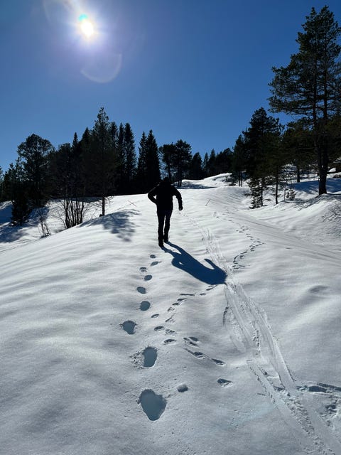 Bilde 1 av annonsen