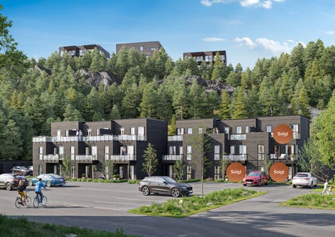 Bilde 1 av annonsen