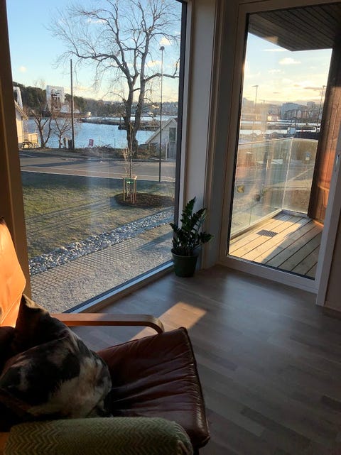 Bilde 1 av annonsen
