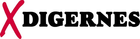 DIGERNES AS logo