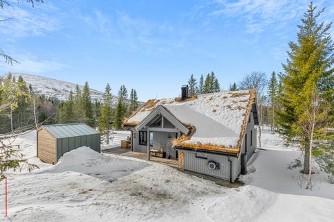 Bilde 1 av annonsen