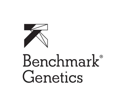 Benchmark Genetics Norway AS logo