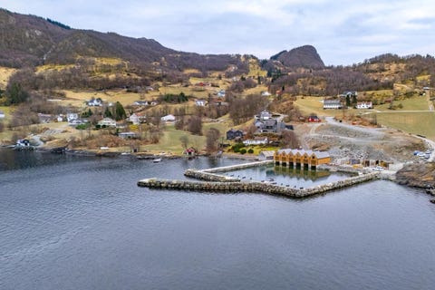 Bilde 2 av annonsen