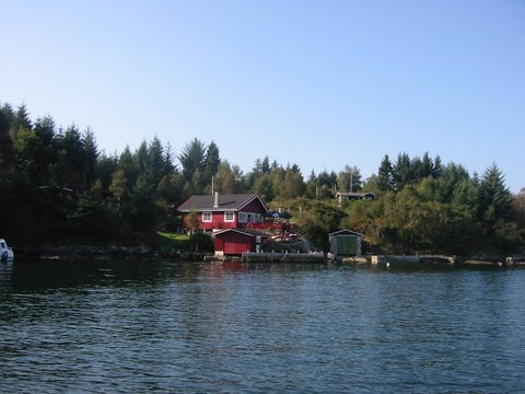 Bilde 1 av annonsen