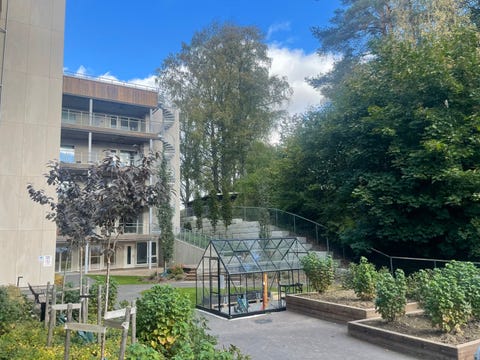 Bilde 2 av annonsen