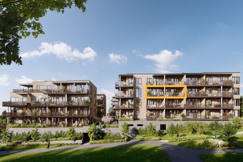 Bilde 1 av annonsen