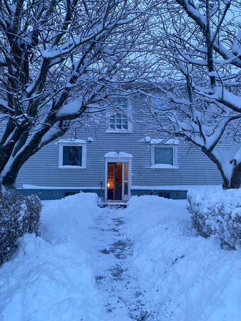 Bilde 1 av annonsen