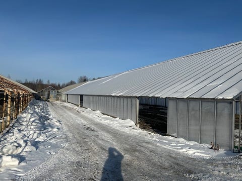 Magne Bergerud & Sønn AS logo