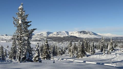 Buskerud fylkeskommune, Ål vidaregåande skole logo