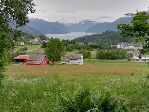 Bilde 2 av annonsen