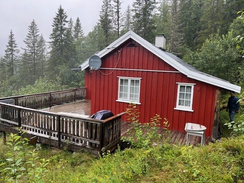 Bilde 1 av annonsen