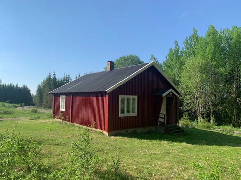 Bilde 1 av annonsen