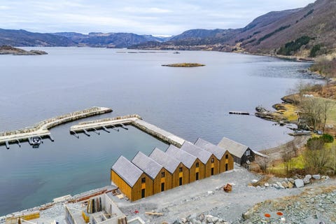 Bilde 1 av annonsen