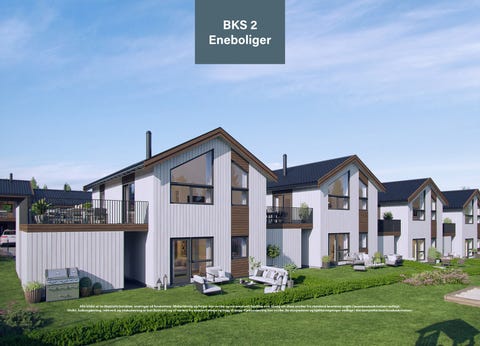 Bilde 1 av annonsen