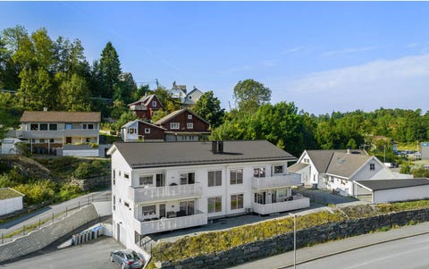 Bilde 1 av annonsen