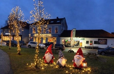 Bilde 1 av annonsen
