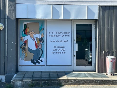 Bilde 1 av annonsen