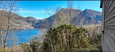 Bilde 1 av annonsen