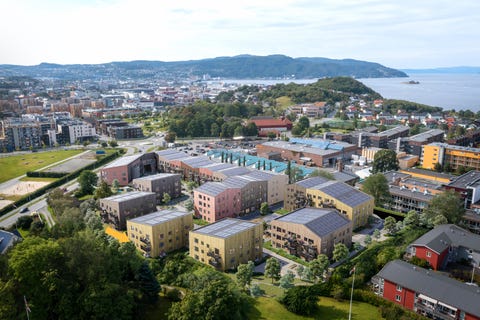 Bilde 2 av annonsen
