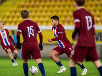 Norges Fotballforbund logo