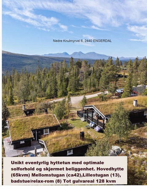 Bilde 1 av annonsen