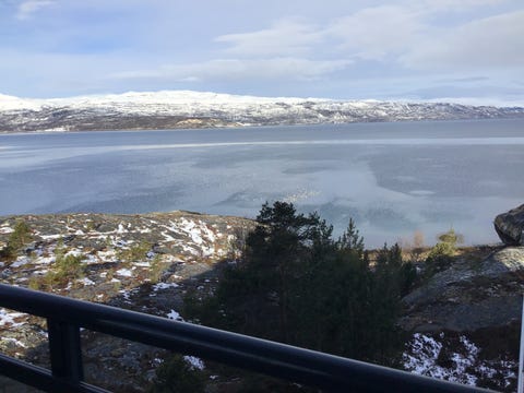 Bilde 1 av annonsen