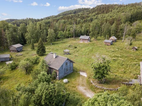 Bilde 1 av annonsen