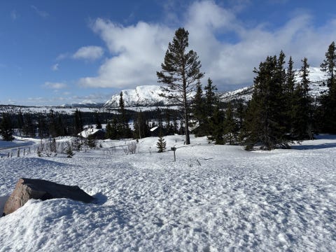 Bilde 1 av annonsen
