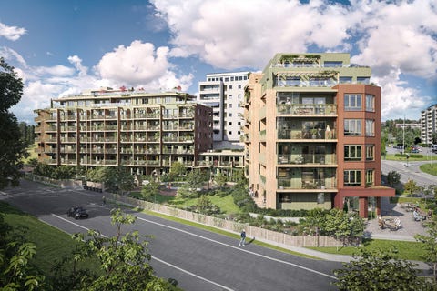 Bilde 1 av annonsen