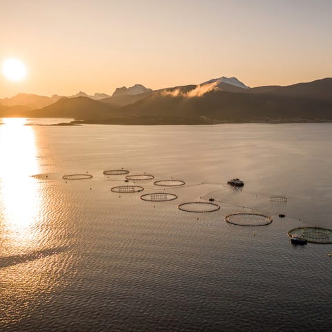 M Vest Water AS logo