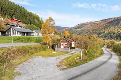 Bilde 1 av annonsen