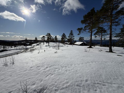 Bilde 1 av annonsen