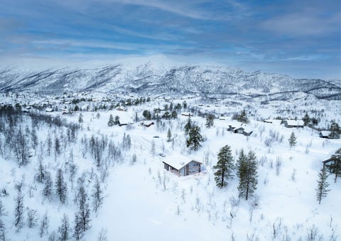 Bilde 1 av annonsen