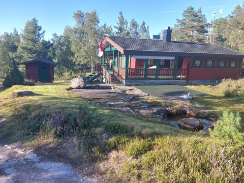 Bilde 1 av annonsen