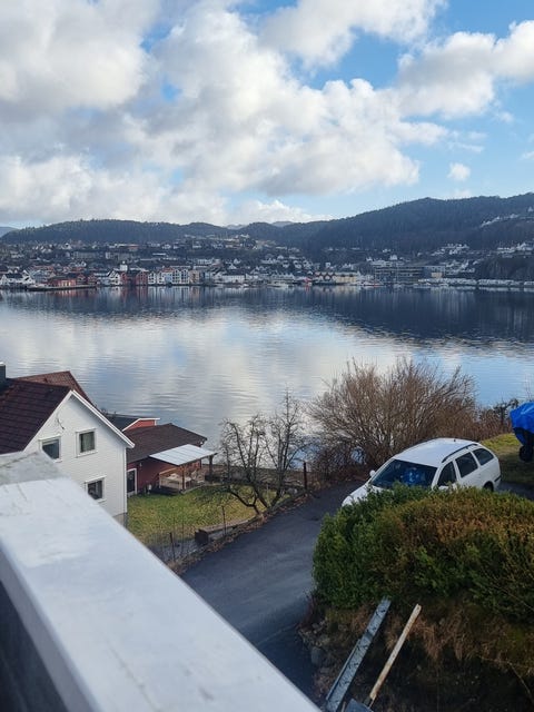 Bilde 2 av annonsen